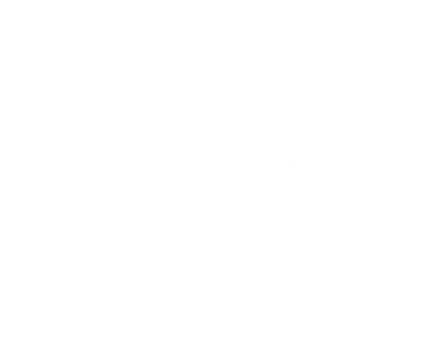 Jwa気象情報 高解像度降水ナウキャスト