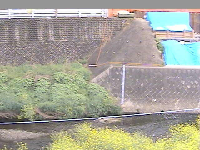 東京都のライブカメラ ライブ天国 東京都のライブカメラ ライブ天国