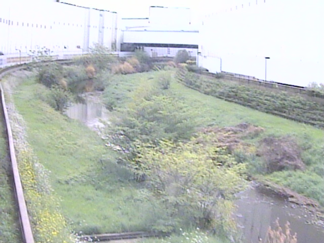 東京都のライブカメラ ライブ天国 東京都のライブカメラ ライブ天国