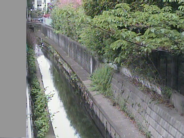 東京都のライブカメラ ライブ天国 東京都のライブカメラ ライブ天国